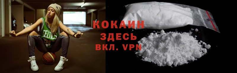 Cocaine FishScale  где купить   Северск 